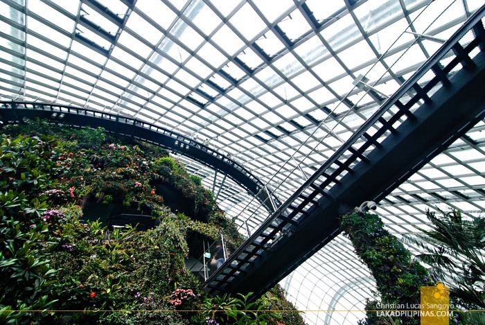Cloud Forest Floating Walkways at Gardens by the Bay