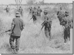 soldiers in the bush