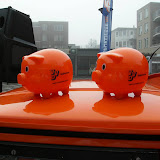 Publieksactie 07-02-1010