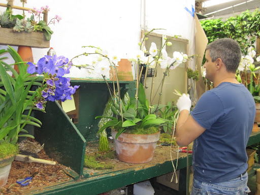 Hard at work in the back of the store working on different arrangements.