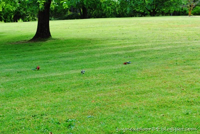 [DSC_0135%255B12%255D.jpg]