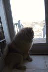 Don't worry, Sharkey!  I'll be your sentry.  Wow, I can't believe Francesca is 7 years old!
