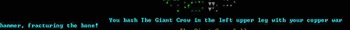 dwarf-fortress-adventurer_20