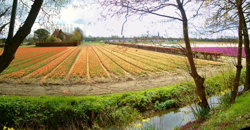 [2012%2520Apr%2520Lisse%252014%255B4%255D.jpg]