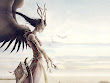 Wizdom Of Young Angel