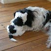 DSCN0164.JPG