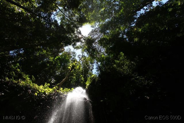 [IMG_1234%255B4%255D.jpg]