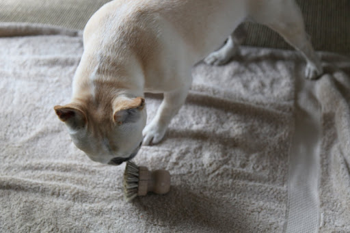 And I think that we will need this brush.