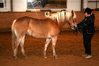 Grönt kort kurs januari 2012