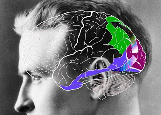 как отключить левое полушарие мозга. Смотреть фото как отключить левое полушарие мозга. Смотреть картинку как отключить левое полушарие мозга. Картинка про как отключить левое полушарие мозга. Фото как отключить левое полушарие мозга как отключить левое полушарие мозга. Смотреть фото как отключить левое полушарие мозга. Смотреть картинку как отключить левое полушарие мозга. Картинка про как отключить левое полушарие мозга. Фото как отключить левое полушарие мозга