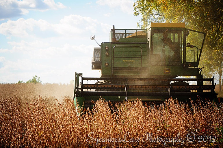 [harvest-2012-1%2520SycamoreLane%2520Photography%255B11%255D.jpg]