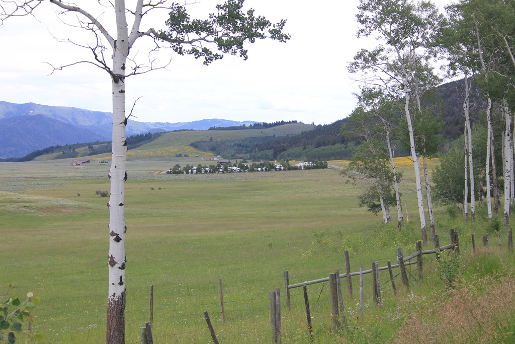 [IMG_1245%255B4%255D.jpg]