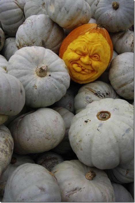 awesome pumpkin carving 20