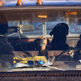 "Four Dogs, Fayette, MO, 2009" - copyright Matt Rahner