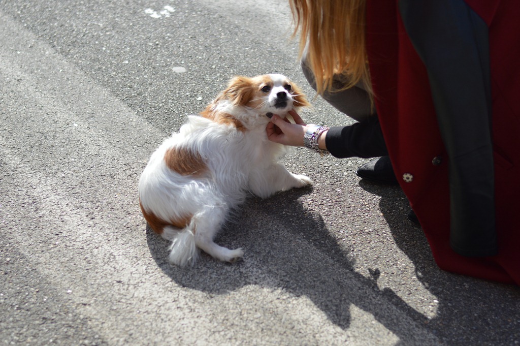 [DSC_0932%255B4%255D.jpg]