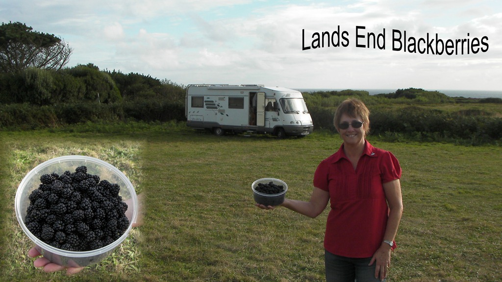 [lands-end-blackberries-Aug-20112.jpg]