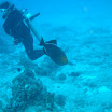 DSC00705.JPG