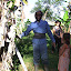 Daniel va récolter quelques régimes de bananes !