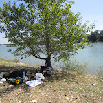 IMG_0141.JPG IMG_0141.JPG