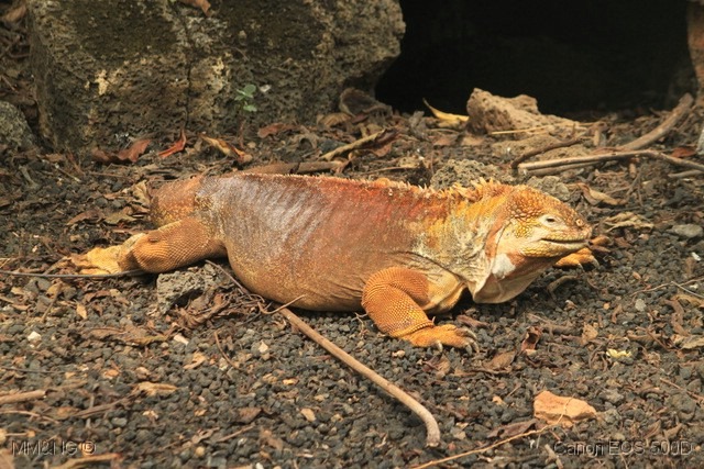 [IMG_0901%255B5%255D.jpg]