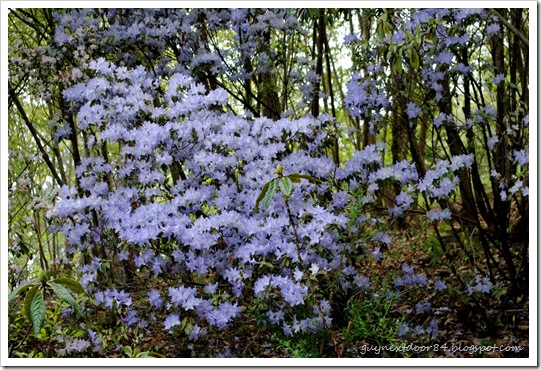 DSC_0502 DSC_0502