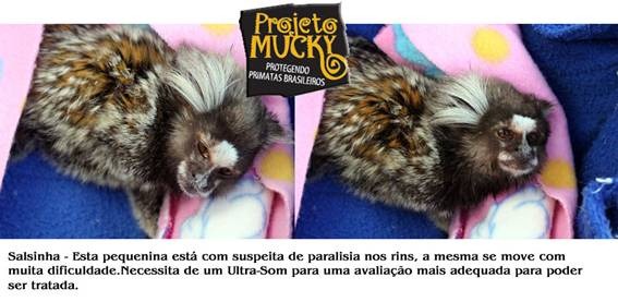 [clip_image004%255B4%255D.jpg]