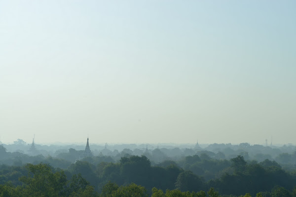 DSC_7347.JPG