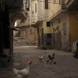IMG_4286.JPG