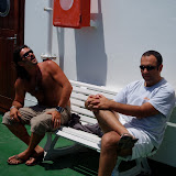 Faro 2008