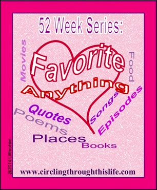52 Week Series Favorite Anything www.circlingthroughthislife.com