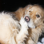 04.02.12 Külmimal nädalavahetusel Piiri spordibaasis ja Rae talus - AS05VEB12PIIRI-RAE057S.jpg
