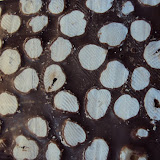 DSC01120.JPG