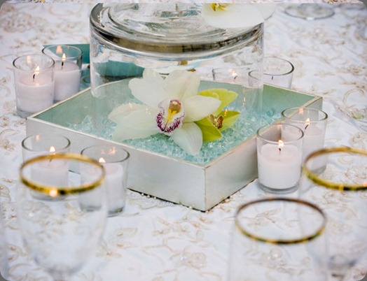 15 sonia events and jules bianchi photo 15 sonia events and jules bianchi photo