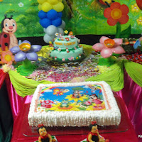  Aniversario_Anna_Lorena_04_09_2010