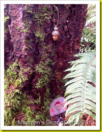 IMG_0995 IMG_0995