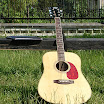 tvds03018-v.gai07.JPG