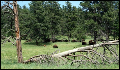 IMG_8833 IMG_8833