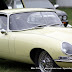 Motorcarsinc.com 1108b.jpg