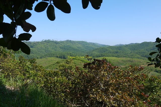 [P10401135.jpg]