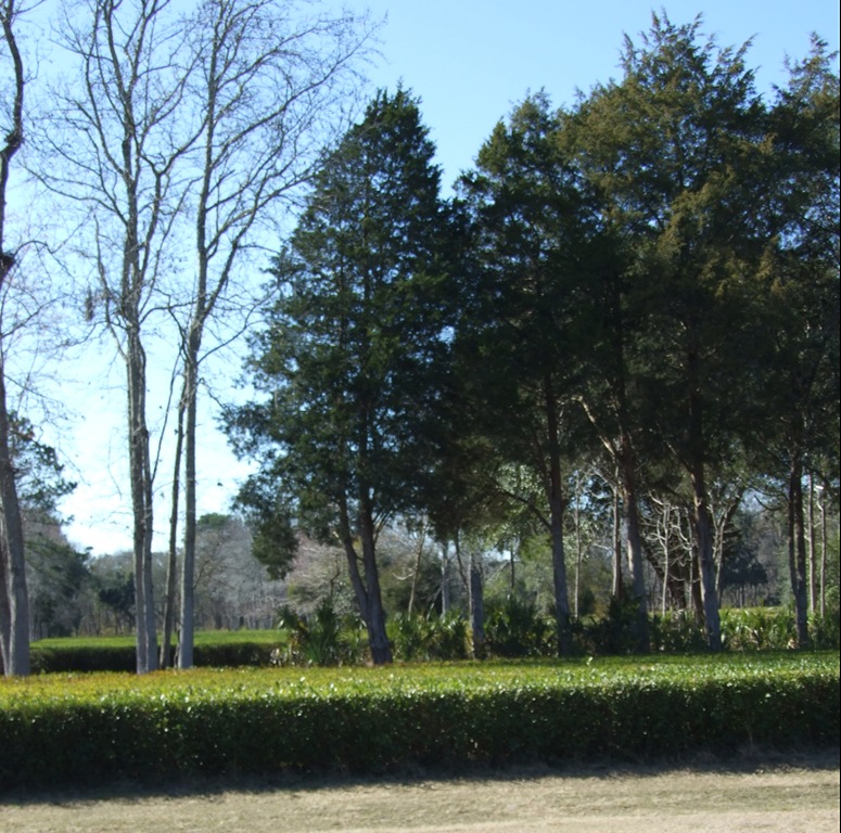 [DSCF85996.jpg]