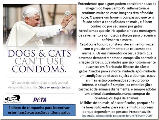 papa_ama_gatos (11)