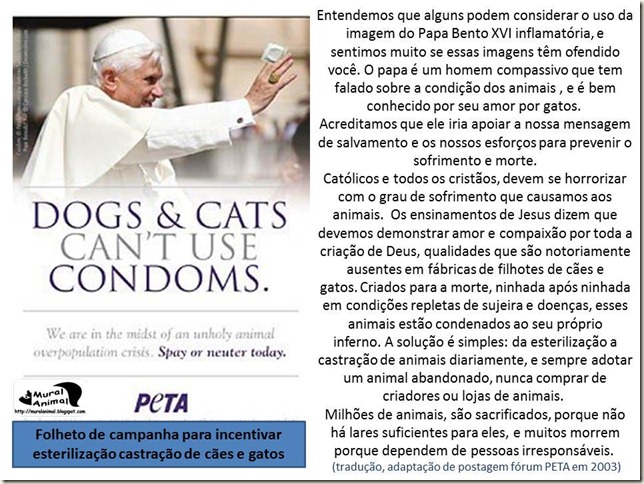 papa_ama_gatos (11) papa_ama_gatos (11)