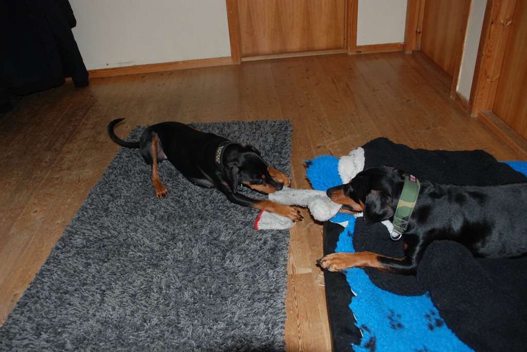[DSC_0682%255B5%255D.jpg]