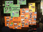 DSC03339.JPG