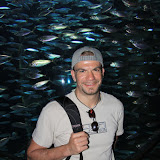 IMG_4725.JPG