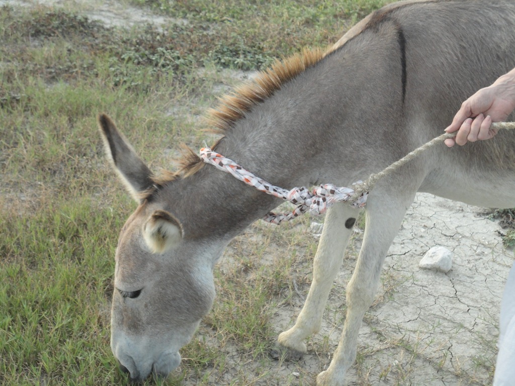 [DSC04681%255B3%255D.jpg]