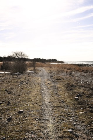 DSC_3946