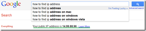 how-to-find-ip-address-with-Google-search