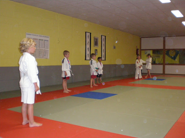 Judo - 3 juli 2009: Foto