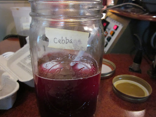 The cabbage dye is red, but it makes eggs turn blue.  The cold dip method makes pastel eggs - if we'd boiled them in dye they'd be more brilliantly colored.